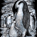 Scratch Art Silver, kradsfolie, pingvin med unge