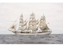 Billing Boats, Skoleskibet Danmark, Limited Edition, træskrog, 1:75